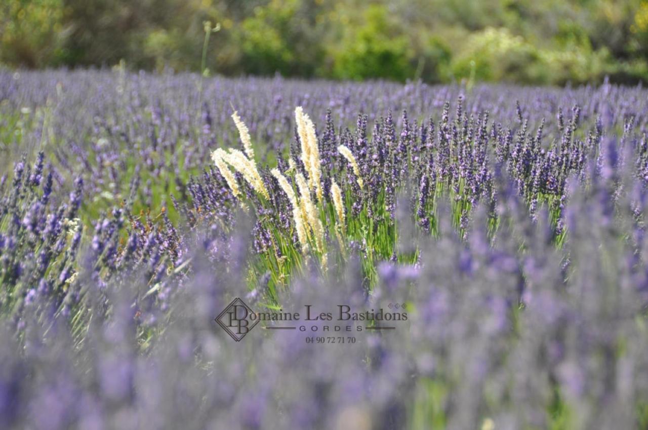 Villa Domaine Les Bastidons Gordes Esterno foto